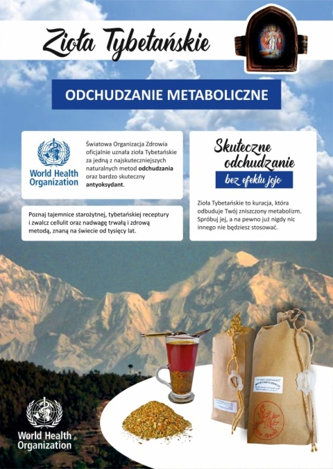 (4) Zioła Tybetańskie " Znhz " Zdrowe i skuteczne odchudzanie. Szybki metabolizm. 4 opakowania suszu ziołowego do parzenia.